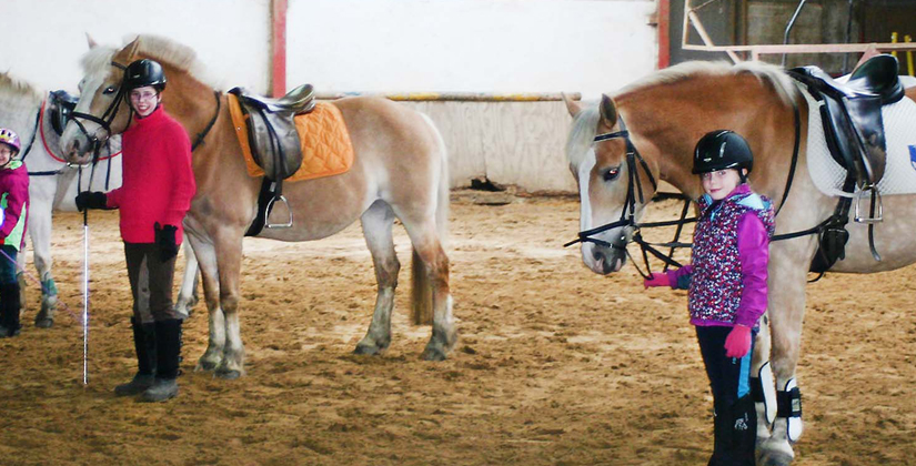 Reitschulbetrieb Berkenheide – Reitunterricht für Jung und Alt